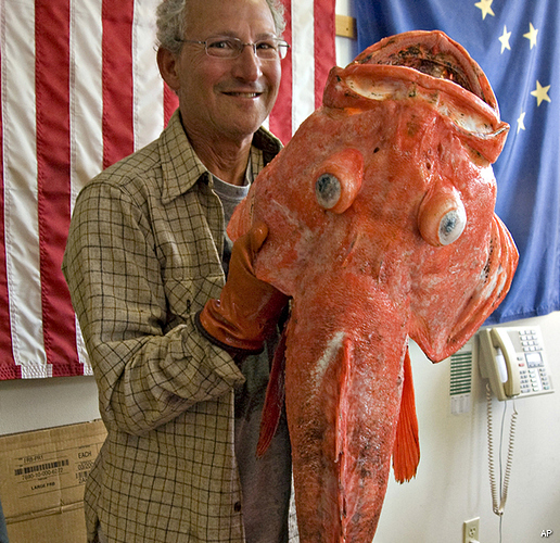 200-year-old Rockfish: Alaska Fish Could Be Oldest Creature Ever Caught