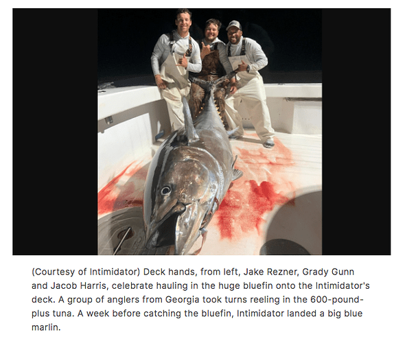 Alabama Bluefin Tuna 2023