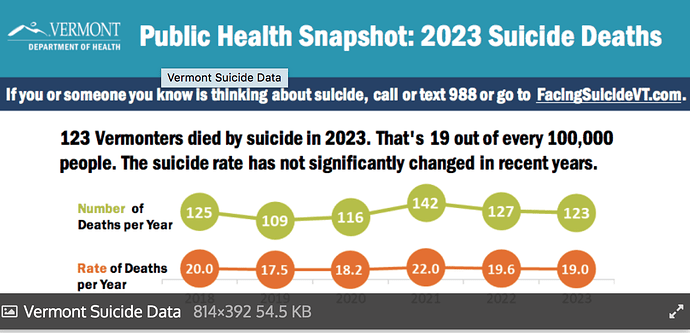Vermont Suicide Data