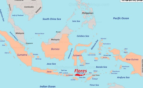 Flores Island