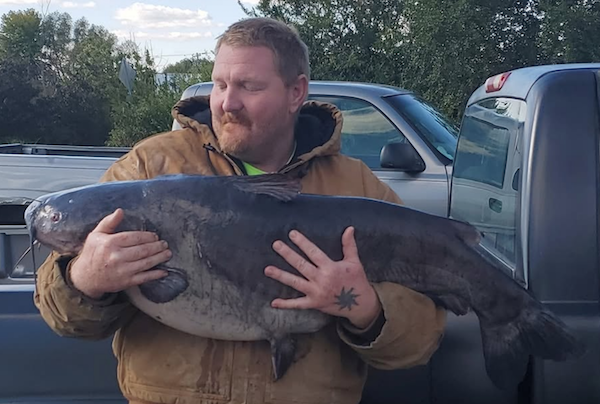 James Lord Blue Catfish