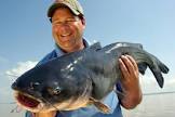 Blue Catfish Blue