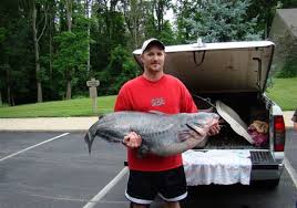 Keith Setty, Ohio State Record Blue Catfish, 2008