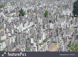 Image result for calvary cemetery queens
