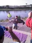 Robert Stanley Blue Catfish