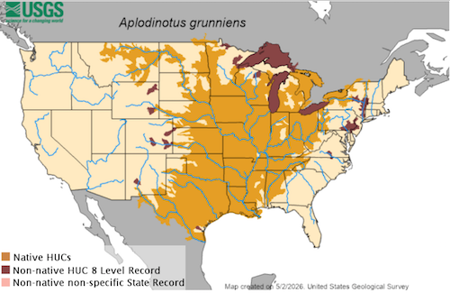Freshwater Drum Range USGS