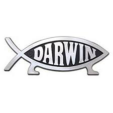 Darwin Fish