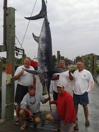 Delaware state record swordfish 2013