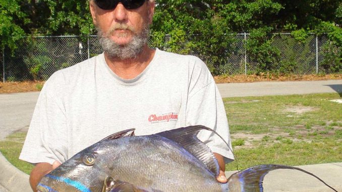 North Carolina state record queen triggerfish