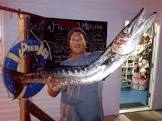 Justin McCaffrey Barracuda