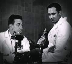 Dr. Wallace Rowe