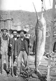 Catalina Island Record Swordfish 1903