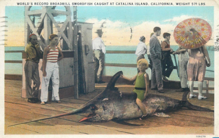 Catalina Record Swordfish 30's