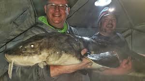 Minnesota state record sturgeon 2019