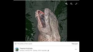 Sea Eel Australia 2024