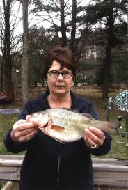 Cindy Lou Cordo, Michigan State Record White Perch, 2015