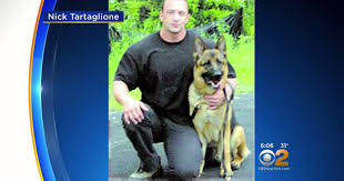 Nicholas Tartaglione Dog