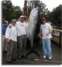 South Carolina state record bluefin tuna 2006