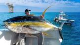 Alabama state record yellowfin tuna 2025