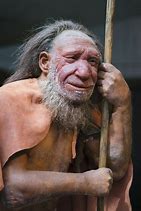 Image result for neanderthal