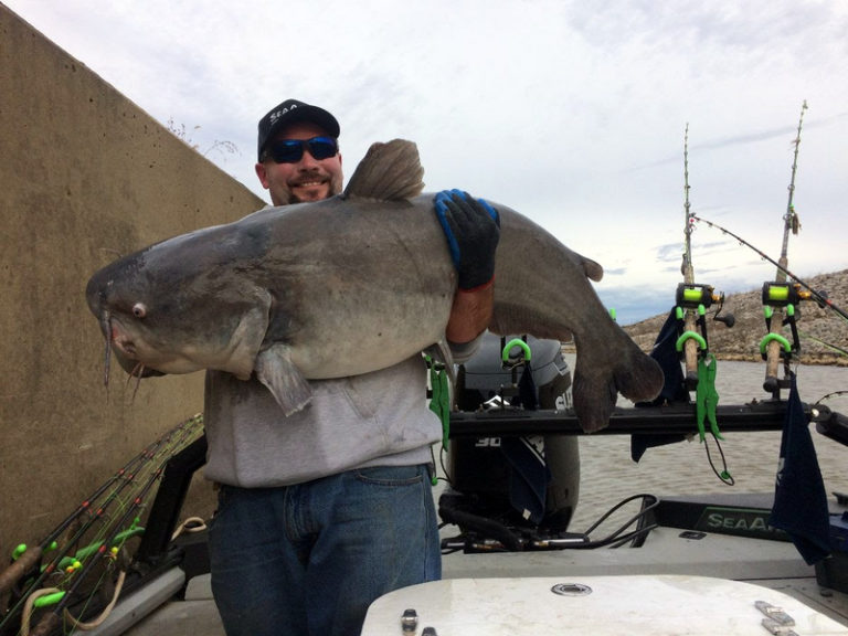 Connor West-Virginia-record-blue-catfish-768x576