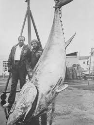 New Jersey state record bluefin tuna