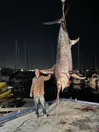 California state record swordfish 2024