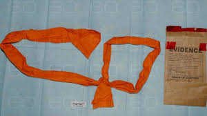 Epstein Noose